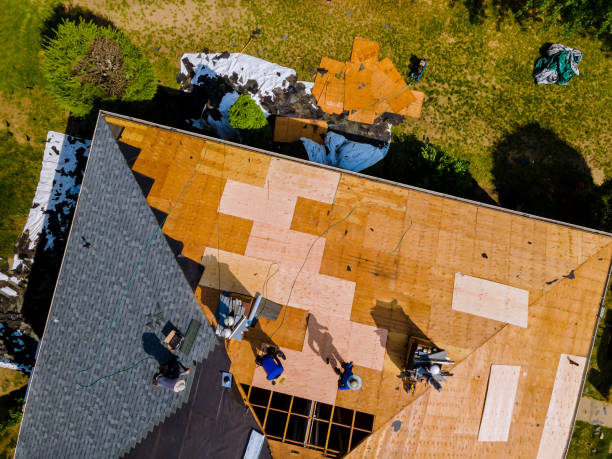 Best Roof Maintenance Services  in South Hutchinson, KS